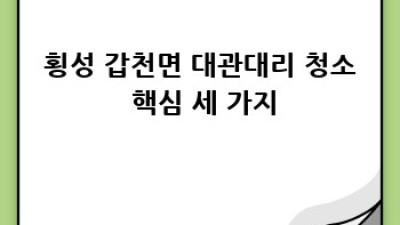 횡성군 갑천면 대관대리 깨끗한 청소, 어디에 맡길까요?